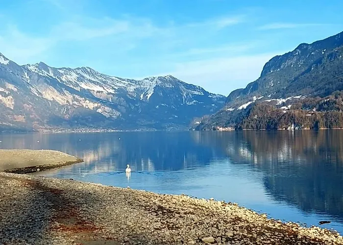 Chalet View Bönigen